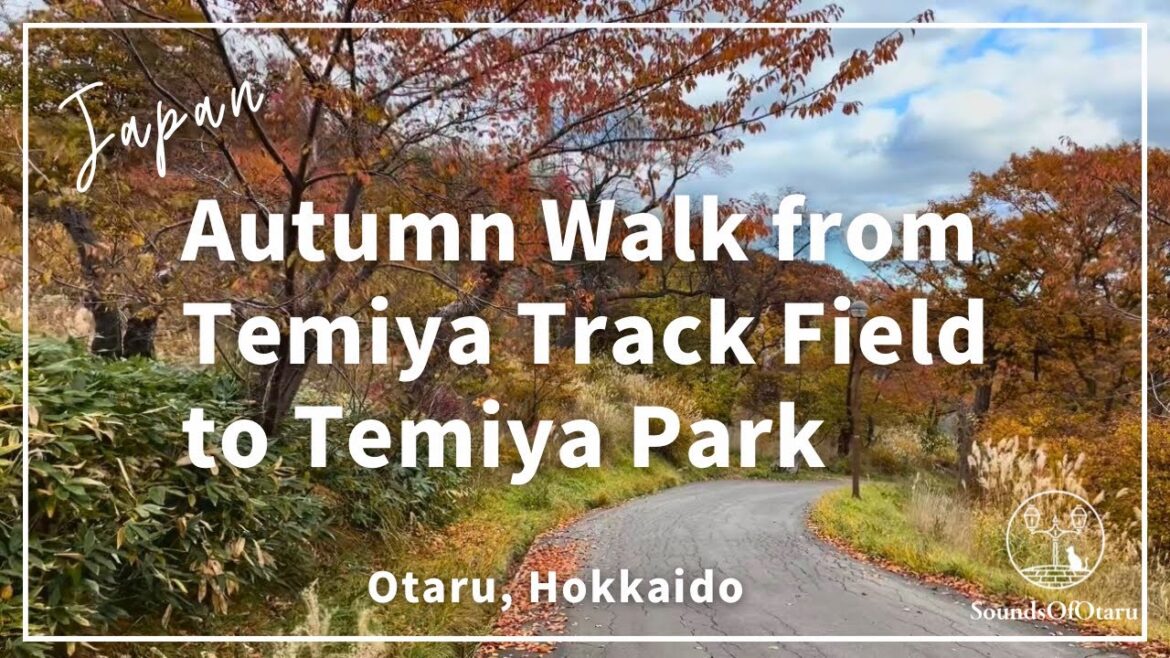 Otaru Walking Tour｜Autumn Walk from Temiya Track Field to Temiya Park