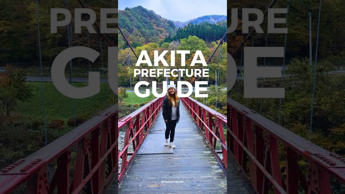 If you are heading to northern Japan, you need to put Akita on your list! 👹
