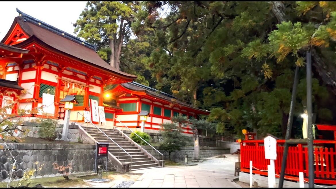 🇯🇵Fukuoka Japan – 1Hour walk | Rural Scenery Around Kashii Shrine japan counttryside | 4K HDR 🇯🇵Fukuoka Japan - 1Hour walk | Rural Scenery Around Kashii Shrine japan counttryside | 4K HDR