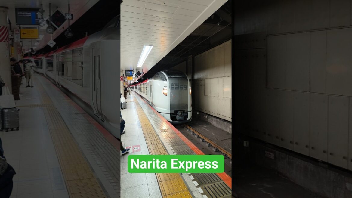 Narita Express arrives at Tokyo Station #japan #japantravel