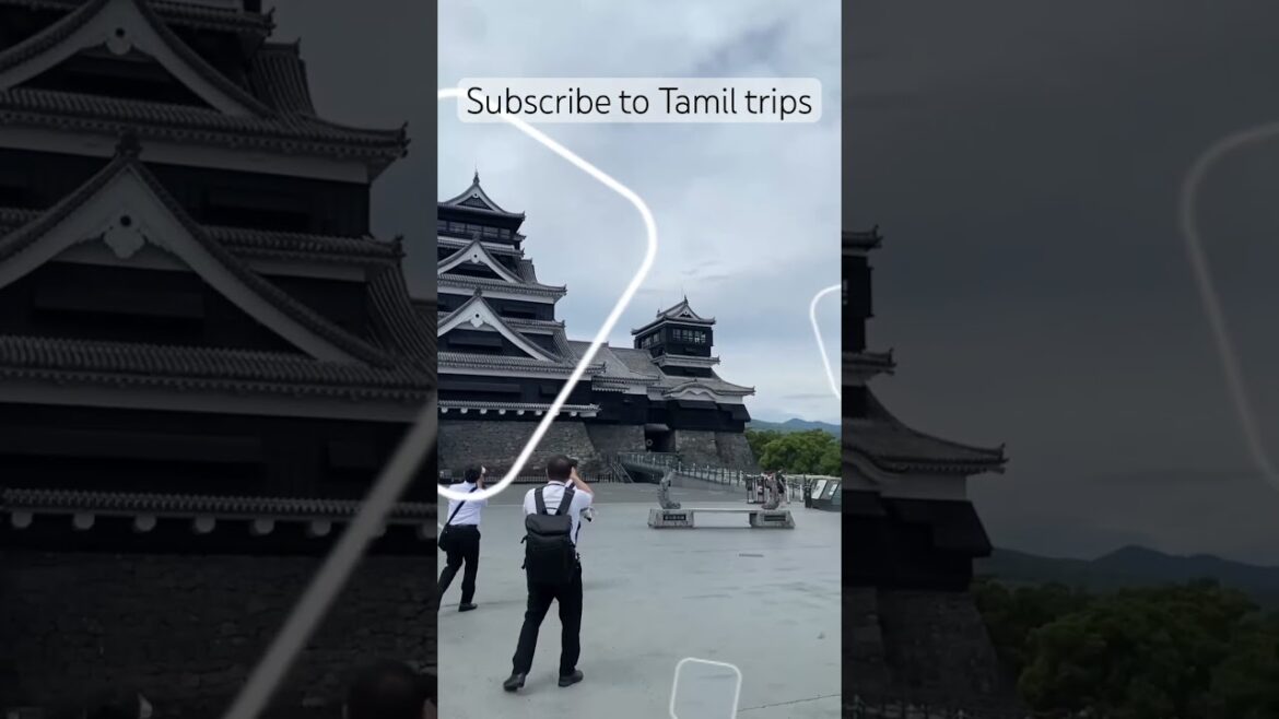 Japan Kumamoto castle tour polama friends #japan #castle #travel #tour #trending