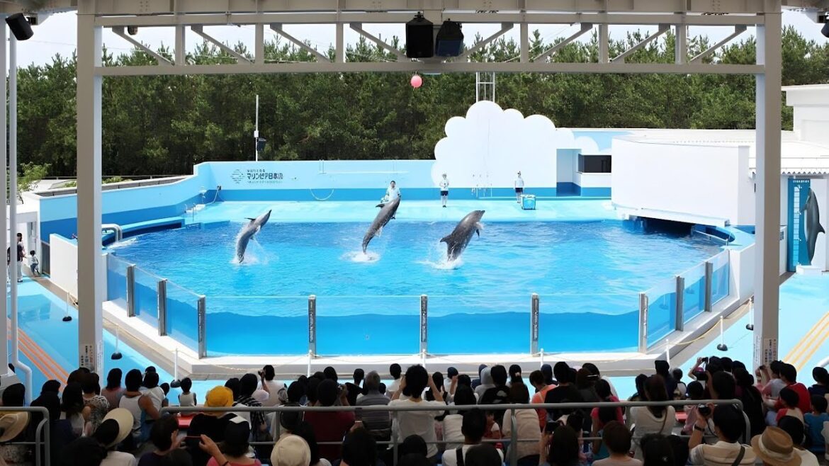 APA Hotel Niigata, Japan | Travel With Suruchi