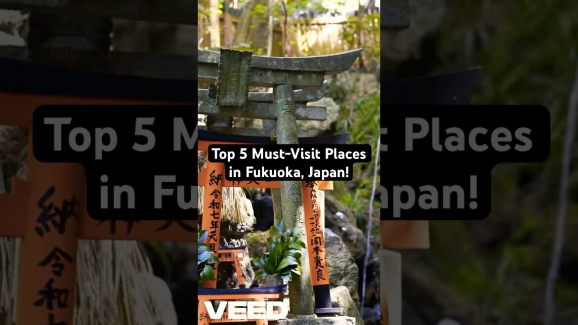 Top 5 Must-Visit Places in Fukuoka, Japan! #fukuokatravel #fukuokatrip #fukuokajapan #japan #travel