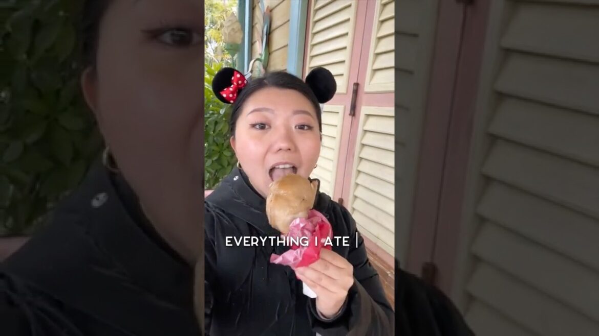 Everything I ate at Tokyo Disneyland 🍔