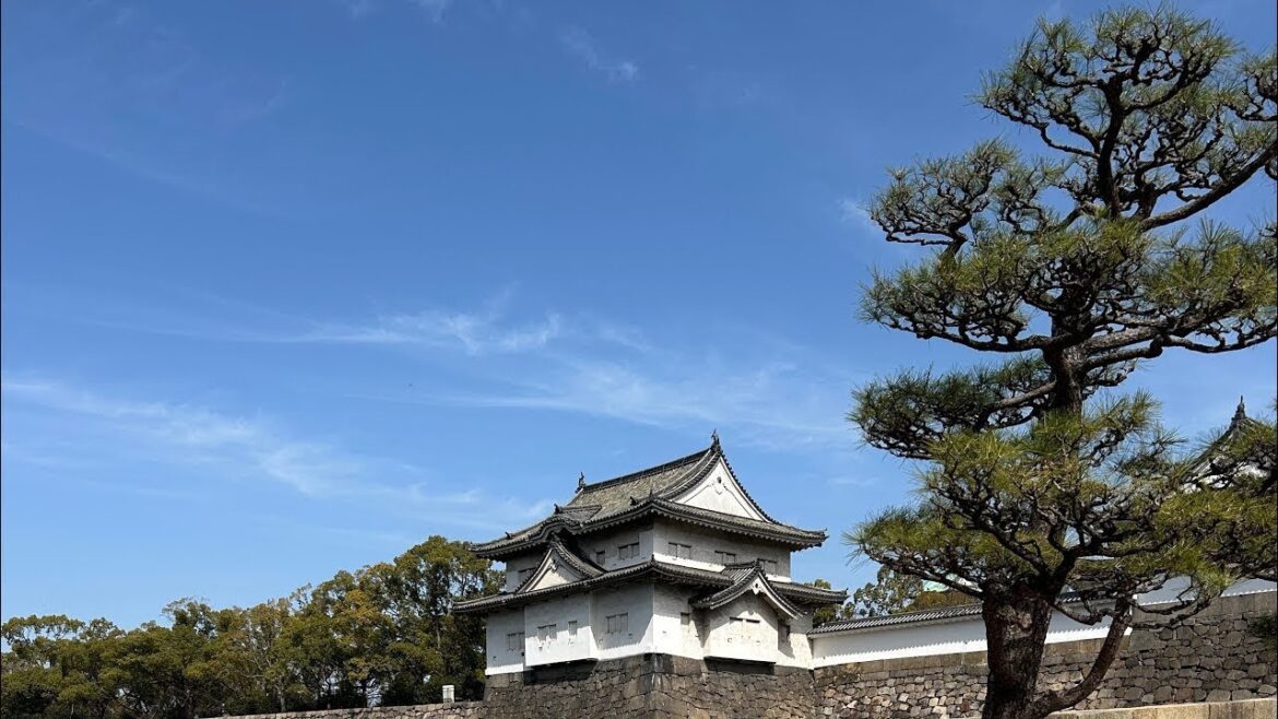 This is Osaka Castle 🏰 History, but not the version you’ve seen before This is Osaka Castle 🏰 History, but not the version you’ve seen before