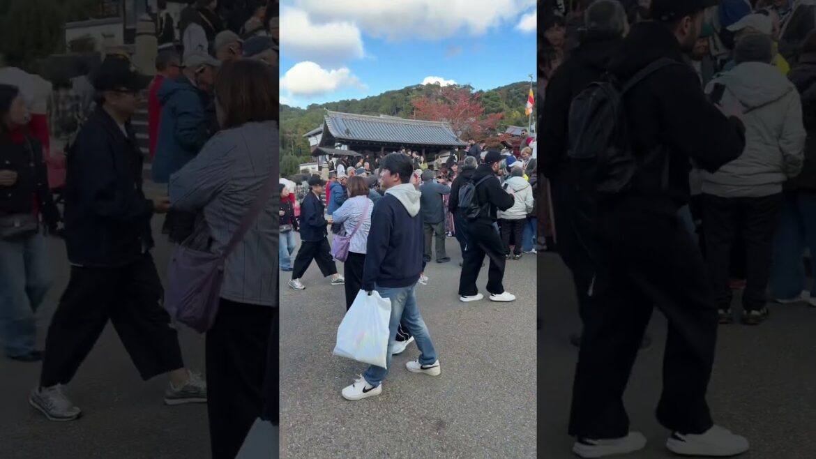 Kyoto is Overtourism #kyoto #japan #travel