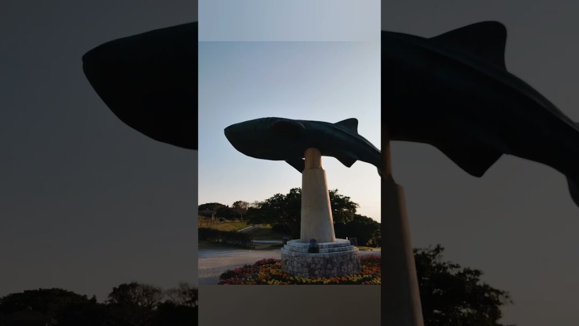 Just two and a half hours from KIX Airport on LCC!Japan’s very own Hawaii awaits!@MANY MORE JAPAN Just two and a half hours from KIX Airport on LCC!Japan's very own Hawaii awaits!@MANY MORE JAPAN