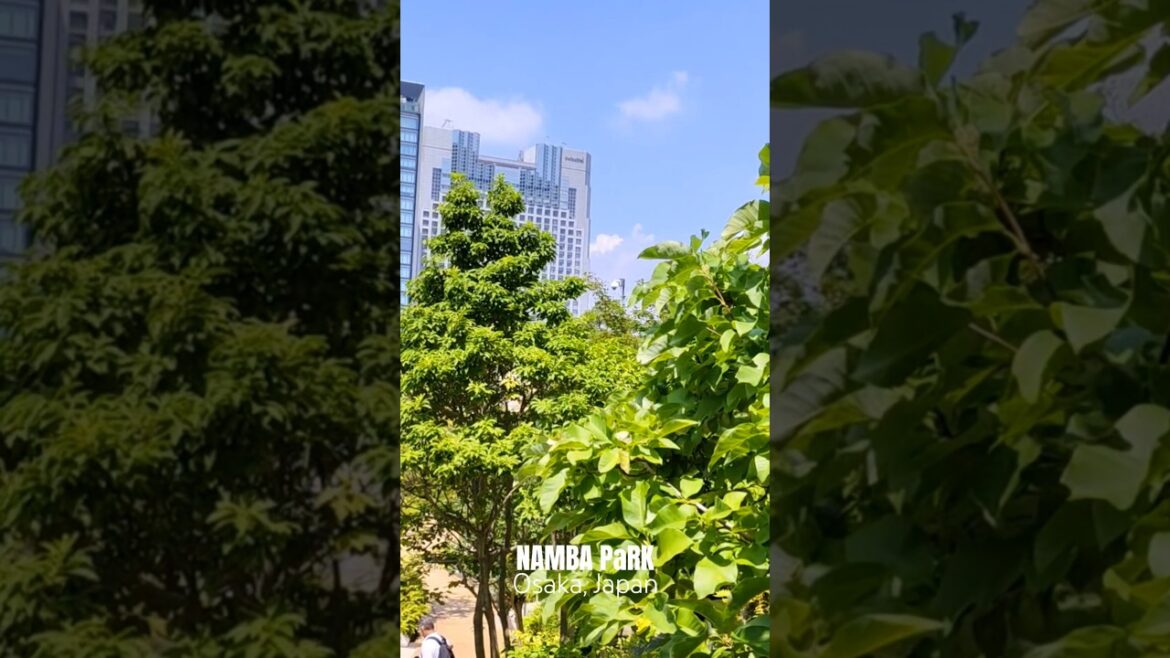 NAMBA PaRKS – Where City Meets Nature – The Most Beautiful Urban Oasis – Osaka Japan (Part-5)