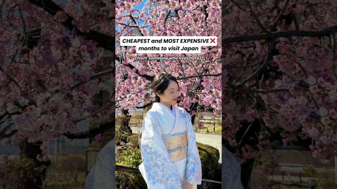 CHEAPEST And MOST EXPENSIVE Months To Travel Japan #japan