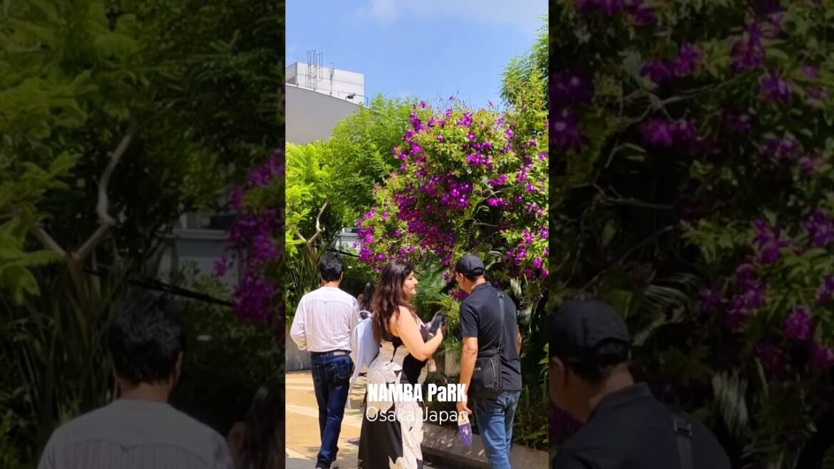 Where City Meets Nature – NAMBA PaRK – The Most Beautiful Urban Oasis – Osaka Japan (Part-3)