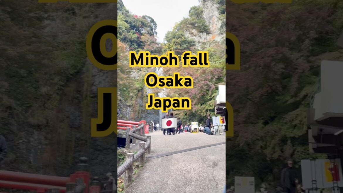 Minoh fall,Osaka Japan 🇯🇵 | Indian in Japan #japan #viral #trending #travel #shorts