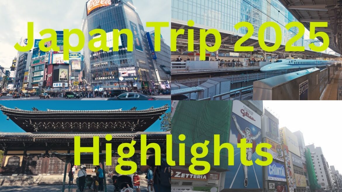 Japan Travel Vlog | Tokyo, Osaka, Kyoto, Hiroshima & Nara Adventure Japan Travel Vlog | Tokyo, Osaka, Kyoto, Hiroshima & Nara Adventure