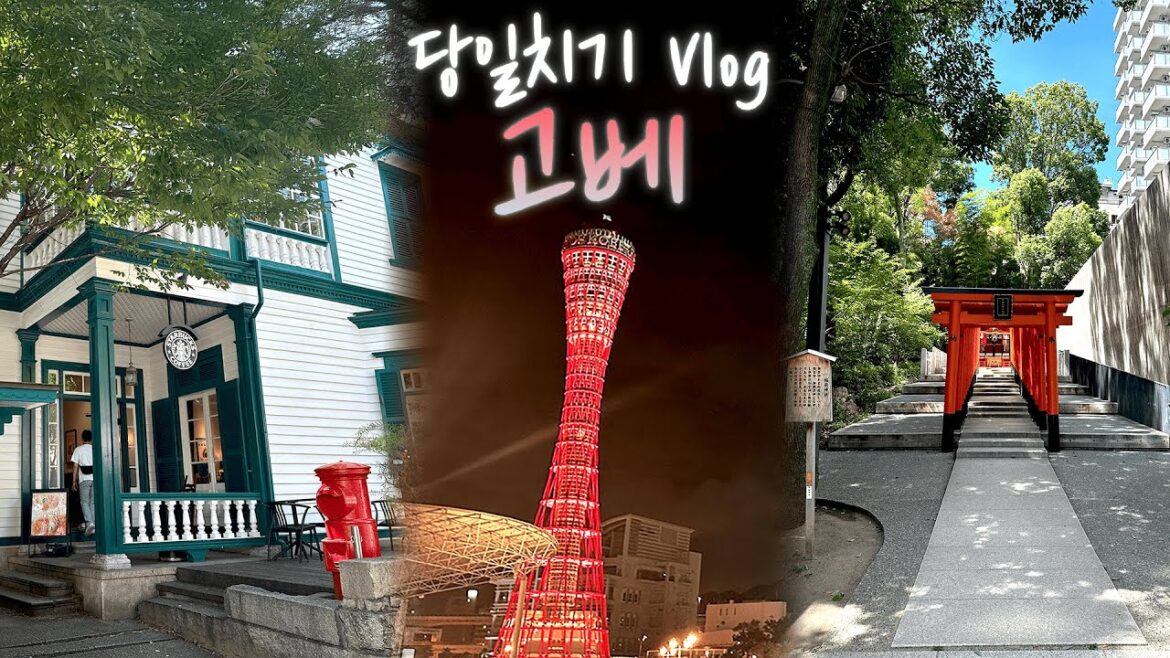 고베 여행 브이로그 | 카페·신사·미술관·밤하늘 불꽃 고베 여행 브이로그 | 카페·신사·미술관·밤하늘 불꽃