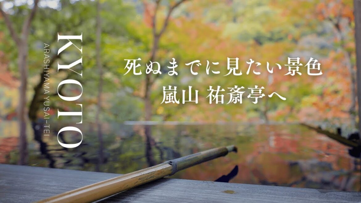 【京都嵐山絶景スポット】祐斎亭のリフレクション #京都旅行 #京都観光 #絶景