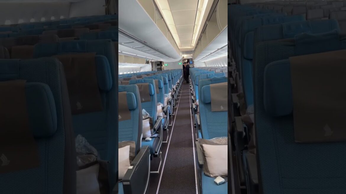 Is this one of the best economy class of Singapore Airlines Airbus A350? #singaporeairlines