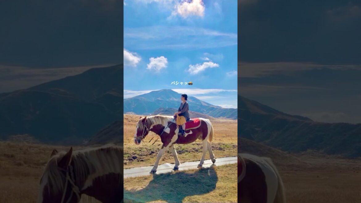 【一生に一度は行きたい】阿蘇山で過ごす1日Vlog/熊本県/草千里ヶ浜 #trip #van #vanlife 【一生に一度は行きたい】阿蘇山で過ごす1日Vlog/熊本県/草千里ヶ浜 #trip #van #vanlife