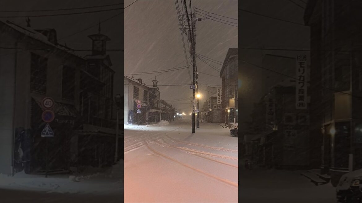 Please go to Hokkaido for at least one winter for in your life