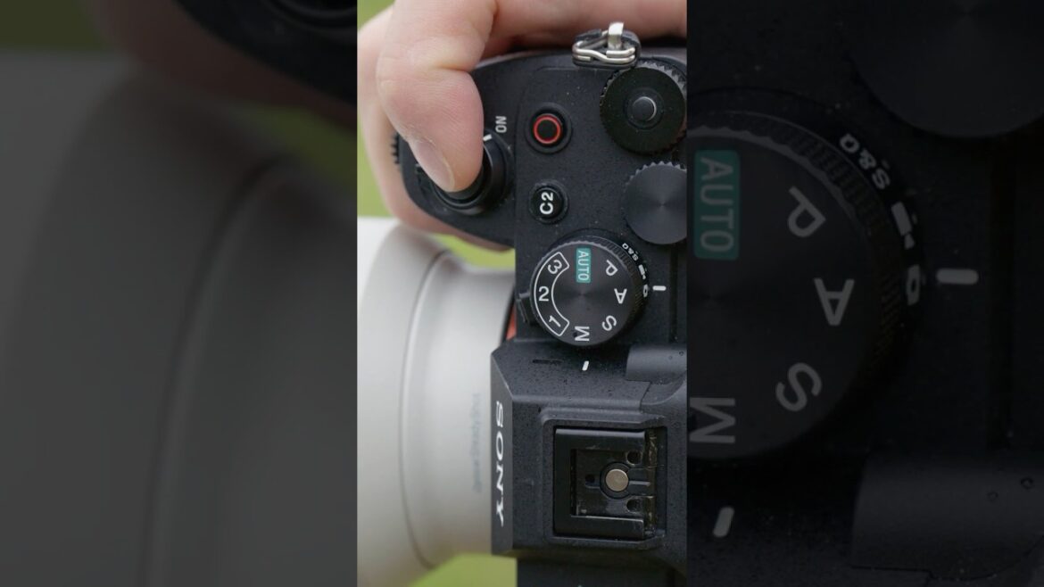 REELSHORT Field Trips; Lake Kizaki #ActionX30 #RST30 #photography