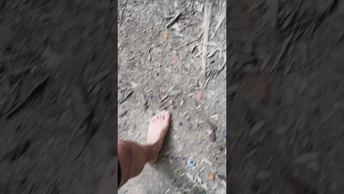 교토에서 맨발걷기