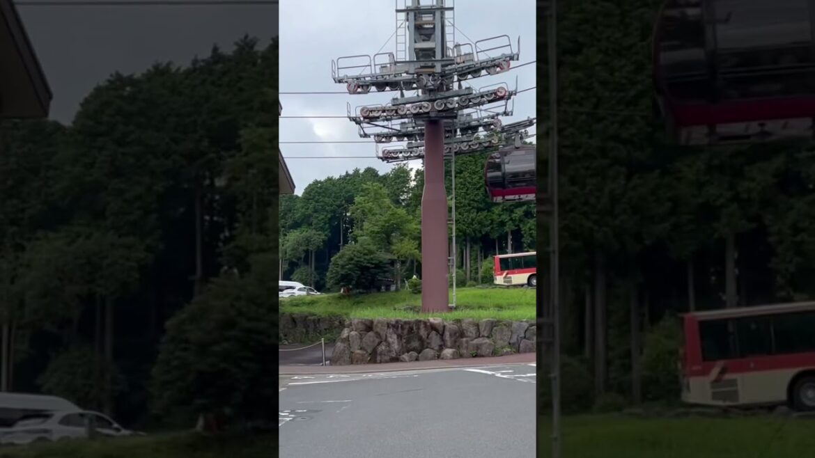 Hakone Sulphuric springs in Japan 🇯🇵 #hakone #sulphursprings #japantravel