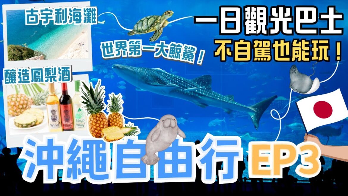 沖繩EP3🏖️不自駕也能輕鬆玩一天！必看世界第一的超大鯨鯊、免費海豚表演｜古宇利島純淨海灘✨沖繩唯一！獨特釀造的鳳梨酒、名護酒｜擬真恐龍森林探險🦕｜一日觀光巴士行程分享｜Okinawa, Japan
