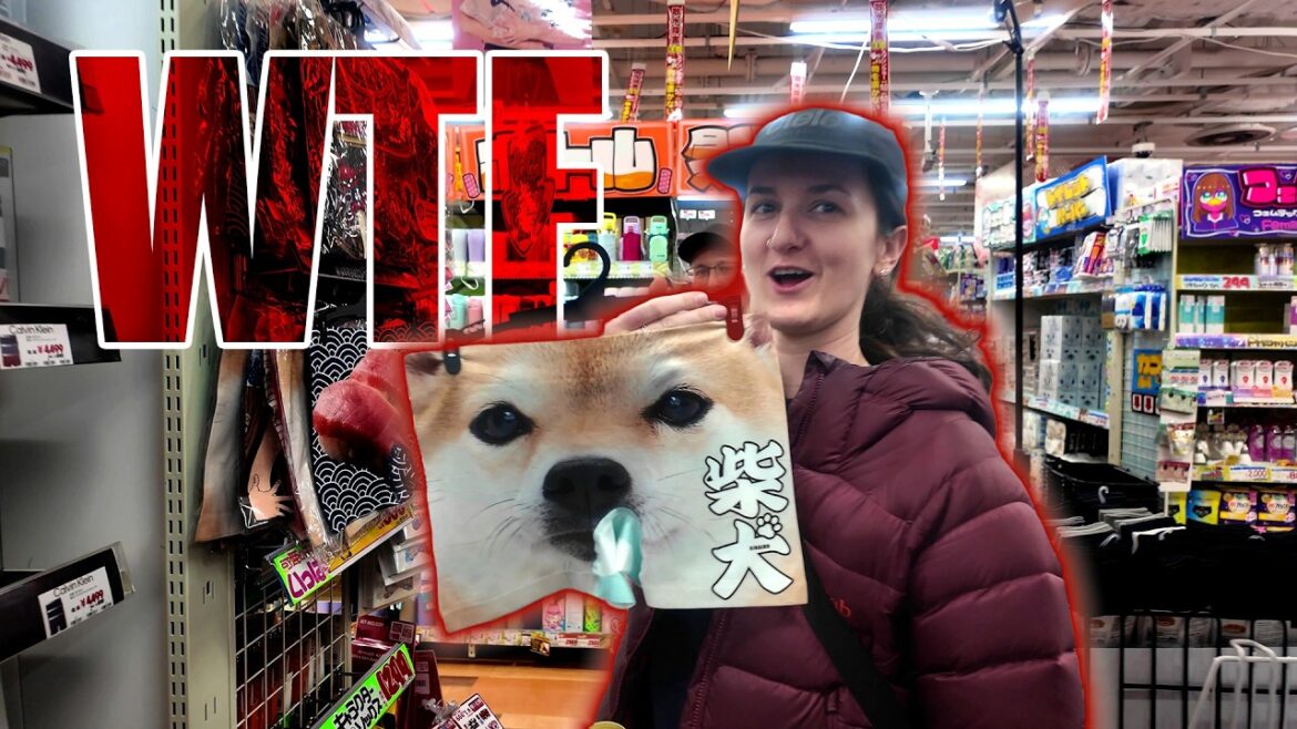 Why is This a Thing? Japan Vlog Why is This a Thing? Japan Vlog