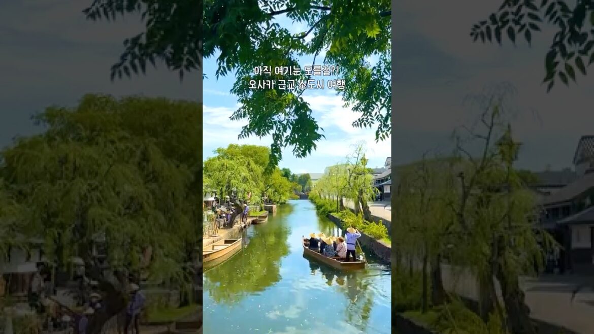 여긴 아직 모를걸? 오사카 근교 소도시 당일치기 여행🌿 + 다카마쓰에서도 갈 수 있음ㅣ자세한 내용은 댓글 확인ㅣ#일본여행 #일본소도시여행