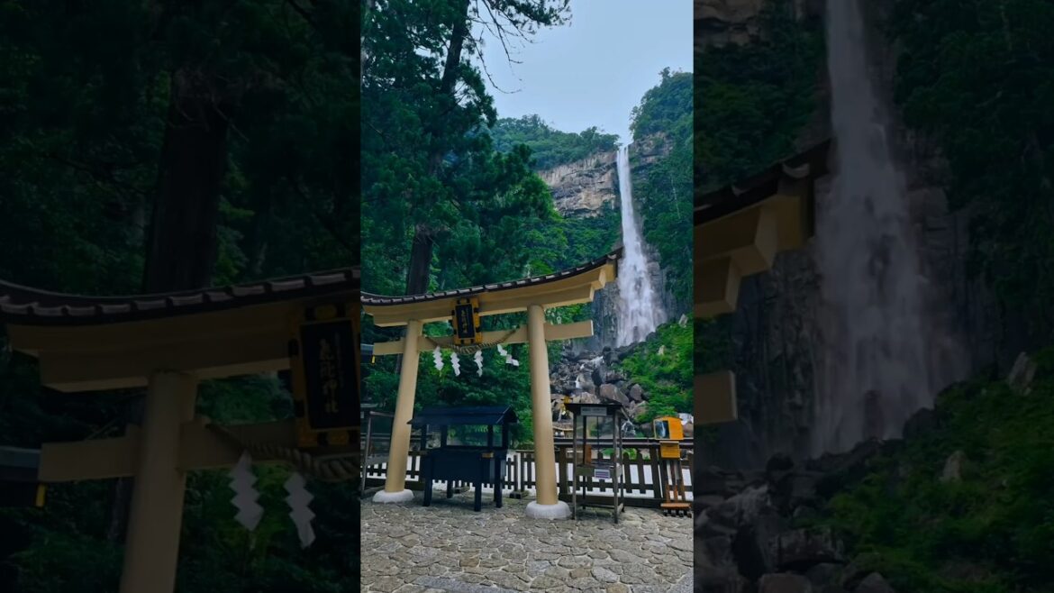 Beautiful places in Japan ๐ฏ๐ต Wakayama, Hiroshima, Oita, #wakayama #hiroshima #oita #japan Shrine Beautiful places in Japan ๐ฏ๐ต Wakayama, Hiroshima, Oita, #wakayama #hiroshima #oita #japan Shrine