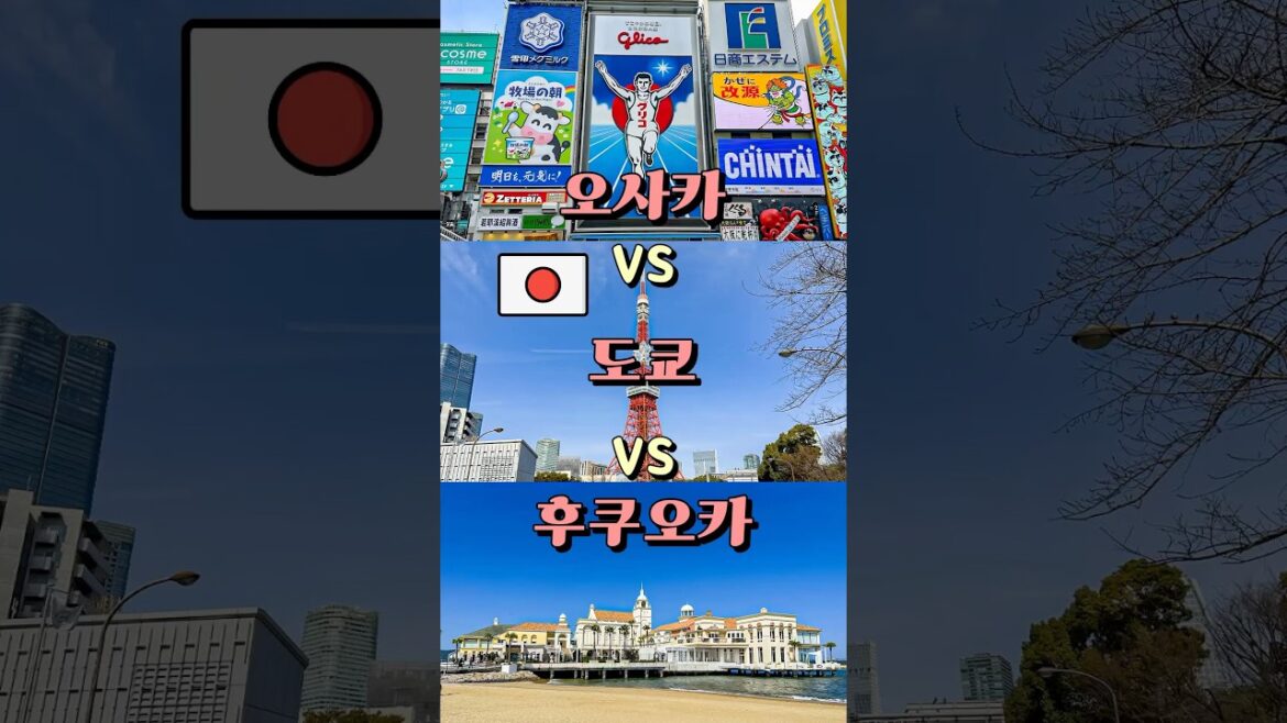 오사카 VS 도쿄 VS 후쿠오카 🇯🇵