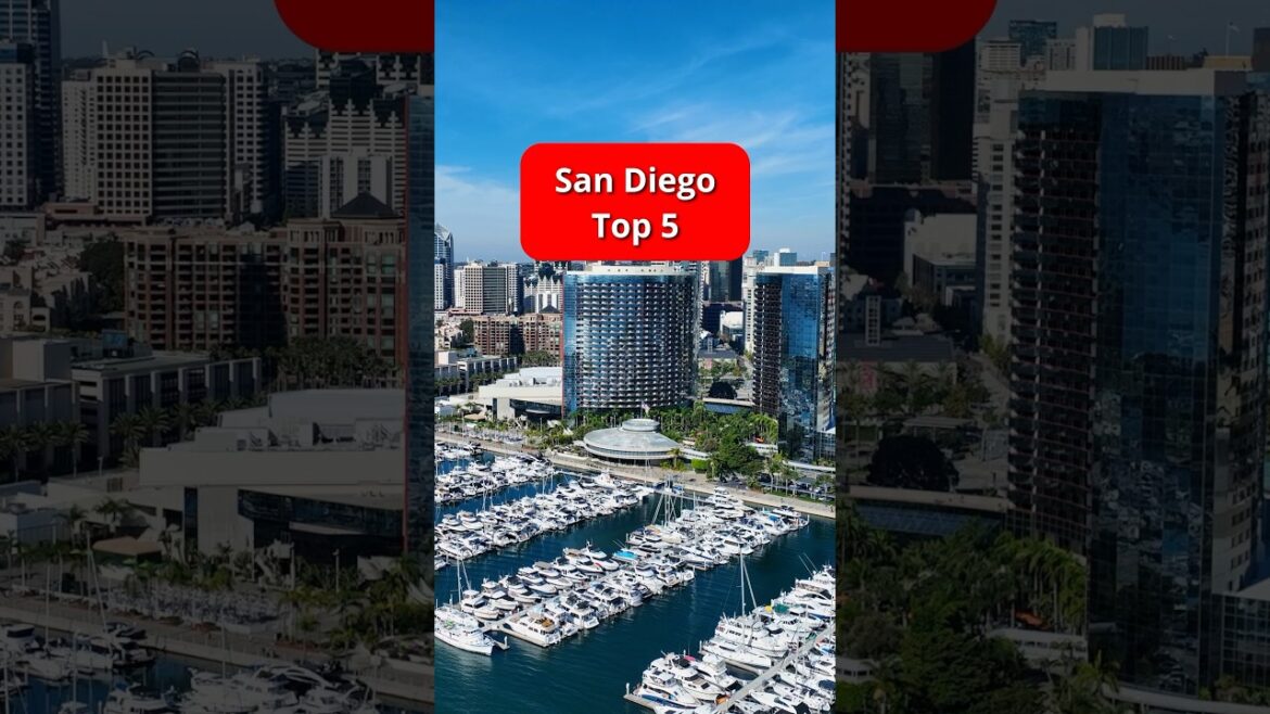 5 Fun Things to Do in San Diego #shorts 5 Fun Things to Do in San Diego #shorts