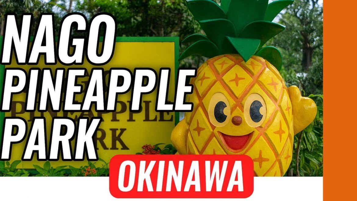 Nago Pineapple Park -Dinosaurs, butterflies, and pineapples - only in Japan!