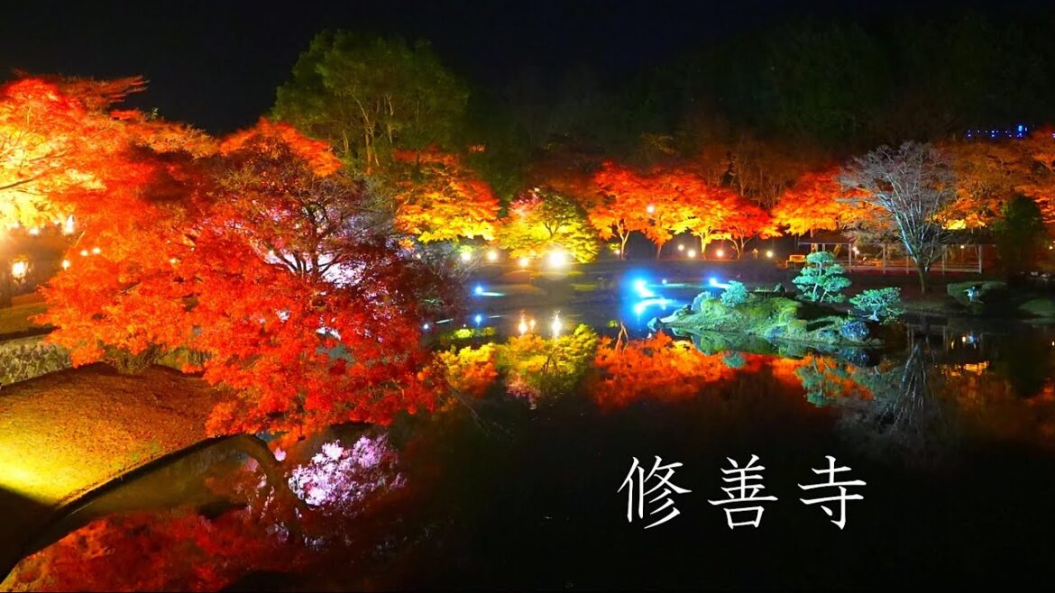 Enjoy the autumn leaves at Shuzenji, Izu, both day and night! Enjoy the autumn leaves at Shuzenji, Izu, both day and night!