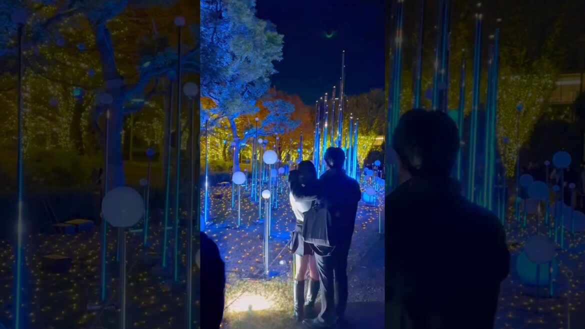 Tokyo’s Magical Christmas Illumination