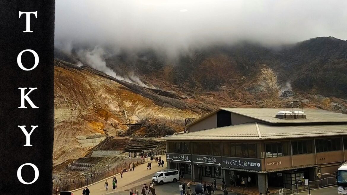 From Mt. Fuji to Lake Ashi: A Full Day Bus Tour in Japan