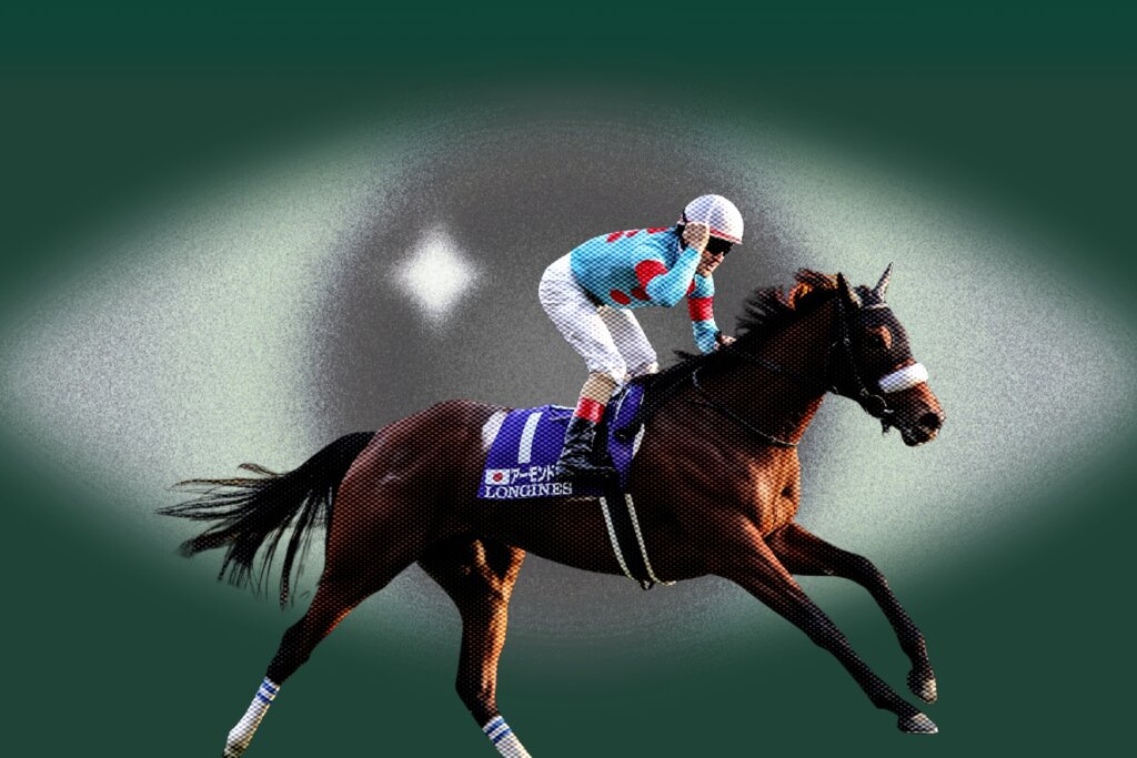 Almond Eye 2018 Japan Cup