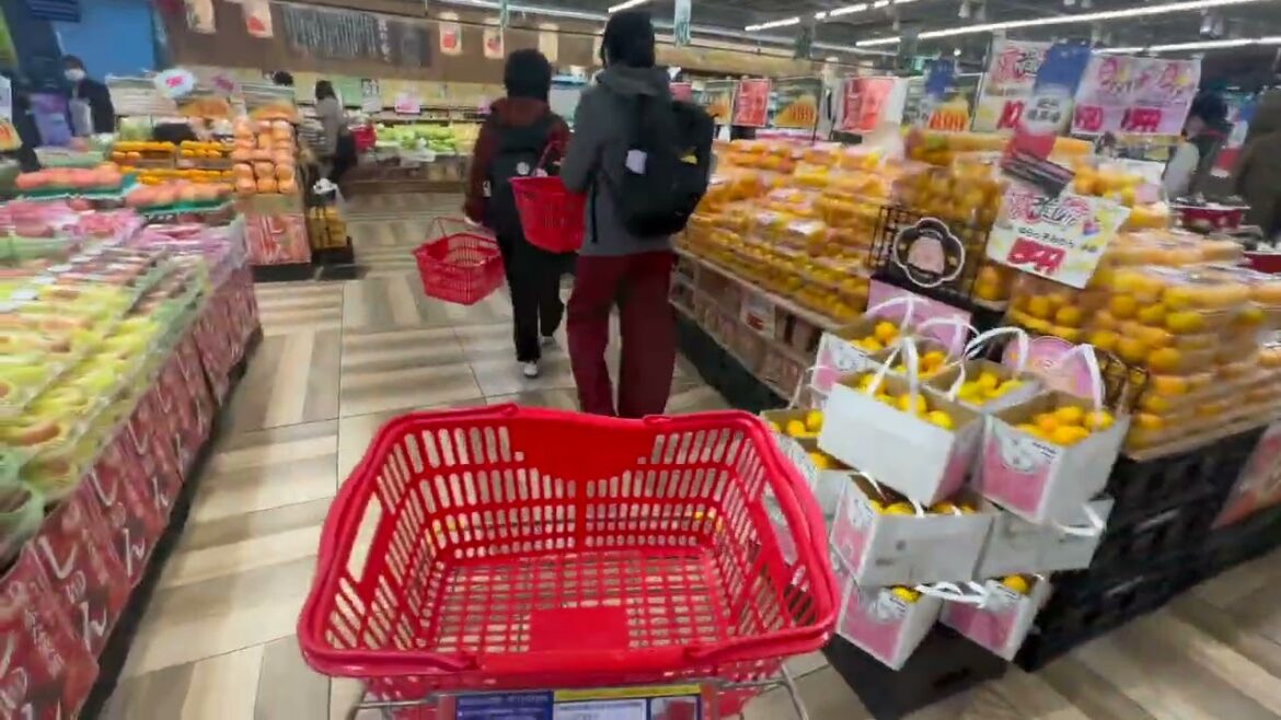 Living in Sendai, Japan November 10, 2025