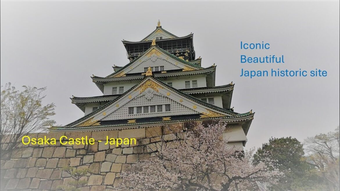 Osaka Castle Tour Osaka Castle Tour