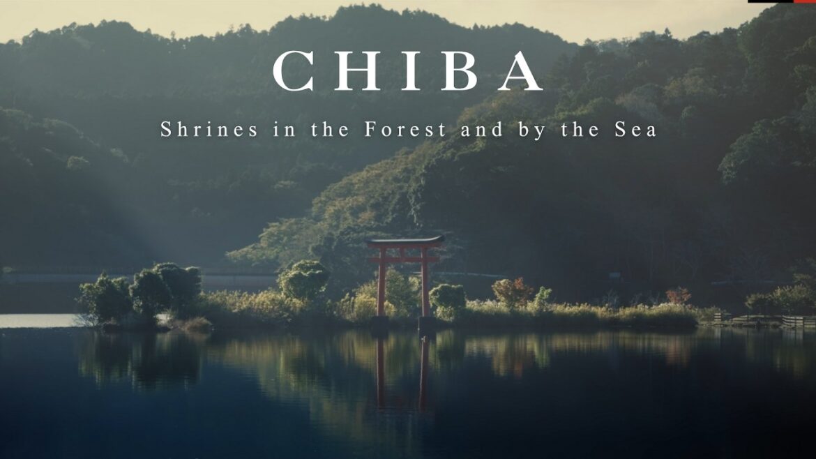 A Soothing Day Trip Exploring Beautiful Forests and Seaside Shrines in Chiba🍃 │ Japan Travel Vlog