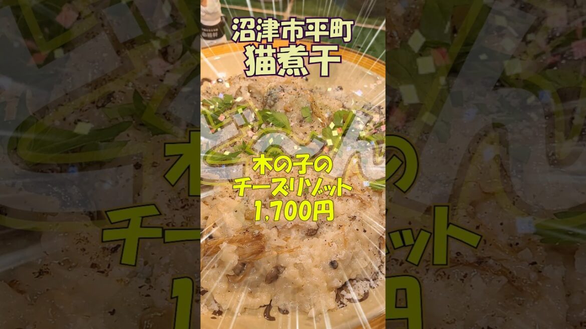 【沼津市】隠れた名店!?猫煮干ショートver. #沼津 #グルメ #伊豆グルメ #ねこにぼし #美味 #伊豆のグルメライダー 【沼津市】隠れた名店!?猫煮干ショートver. #沼津 #グルメ #伊豆グルメ #ねこにぼし #美味 #伊豆のグルメライダー