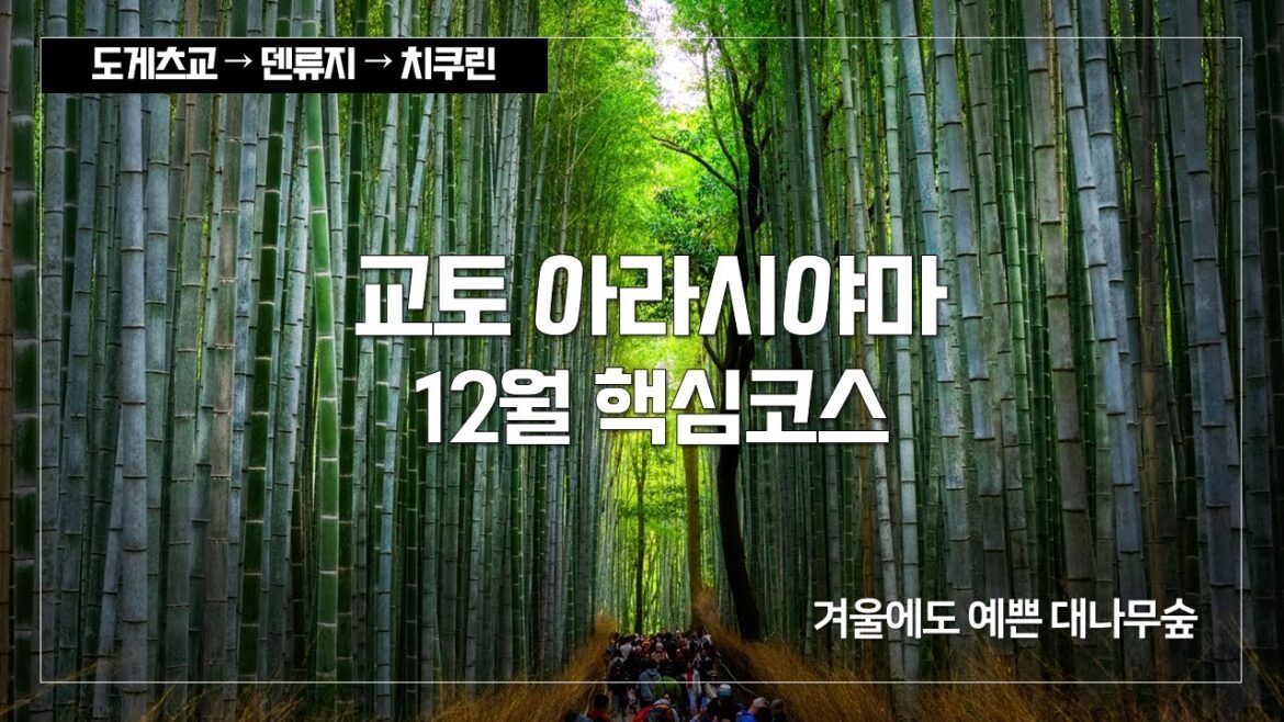 교토 아라시야마 가는법 & 대나무숲 치쿠린·도게츠교·덴류지 단풍 & 겨울 여행 코스 교토 아라시야마 가는법 & 대나무숲 치쿠린·도게츠교·덴류지 단풍 & 겨울 여행 코스