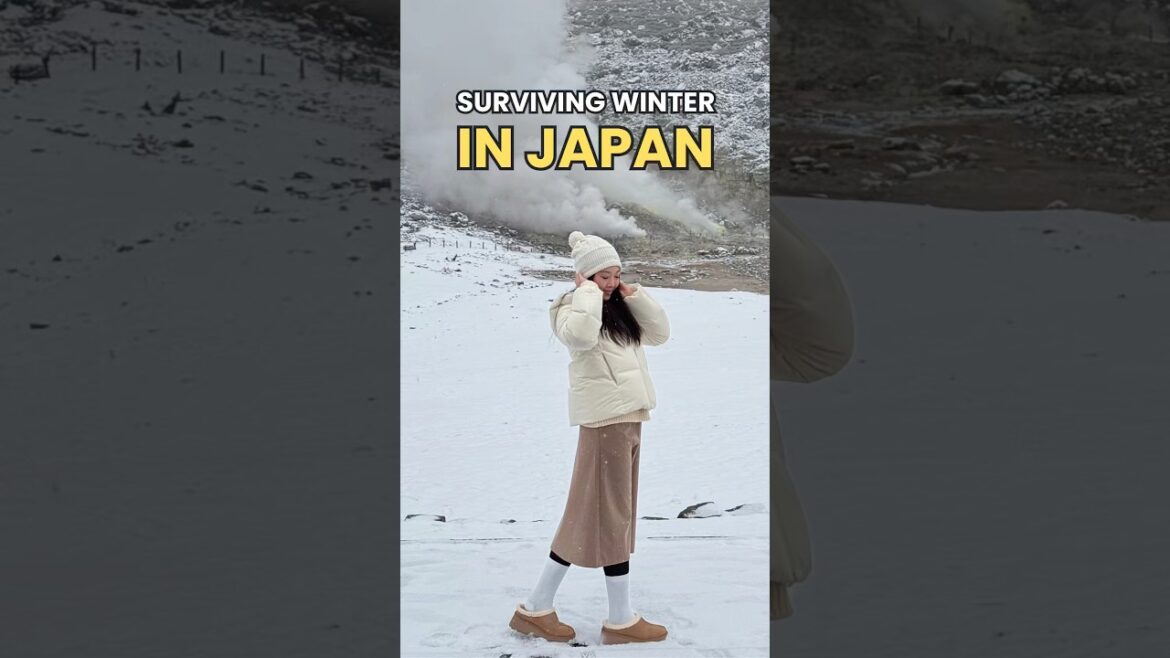 Travel Hacks To Level Up Your Japan Trip In Winter #japan