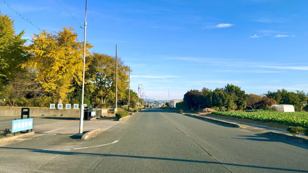 Morning Drive | Toyohashi City Aichi Prefecture | JAPAN Road Trip | 4K