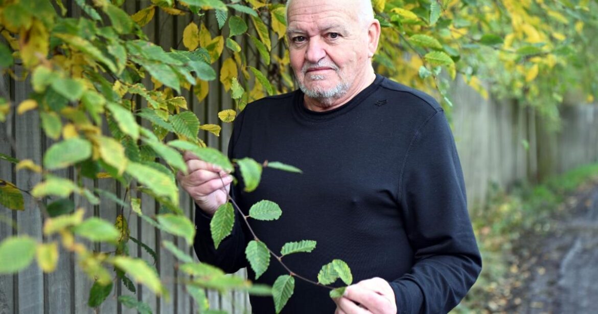 Bradford man's concerns over 'invasive' Japanese knotweed