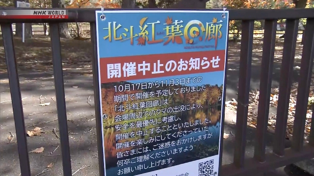 Popular autumn-foliage lights display canceled due to bear sightings Popular autumn-foliage lights display canceled due to bear sightings