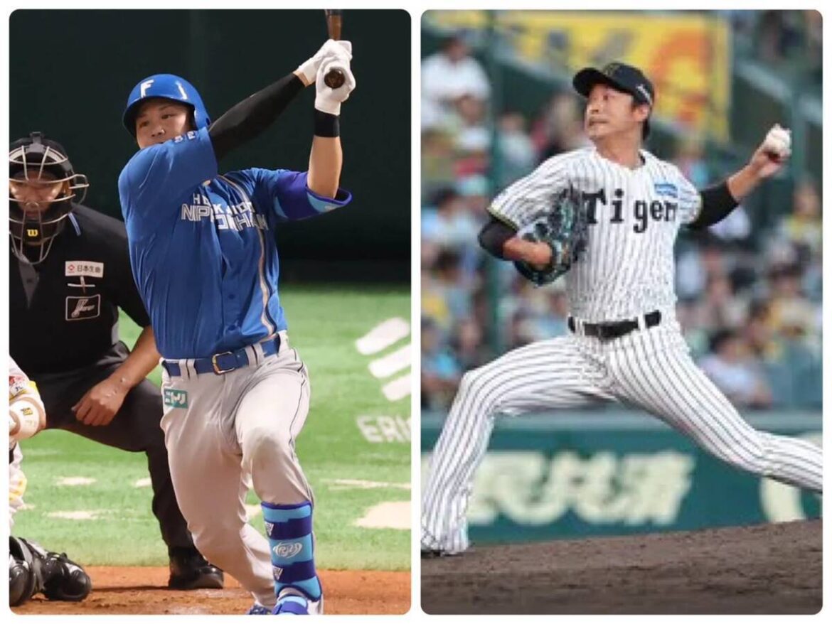 伏見（左）と島本