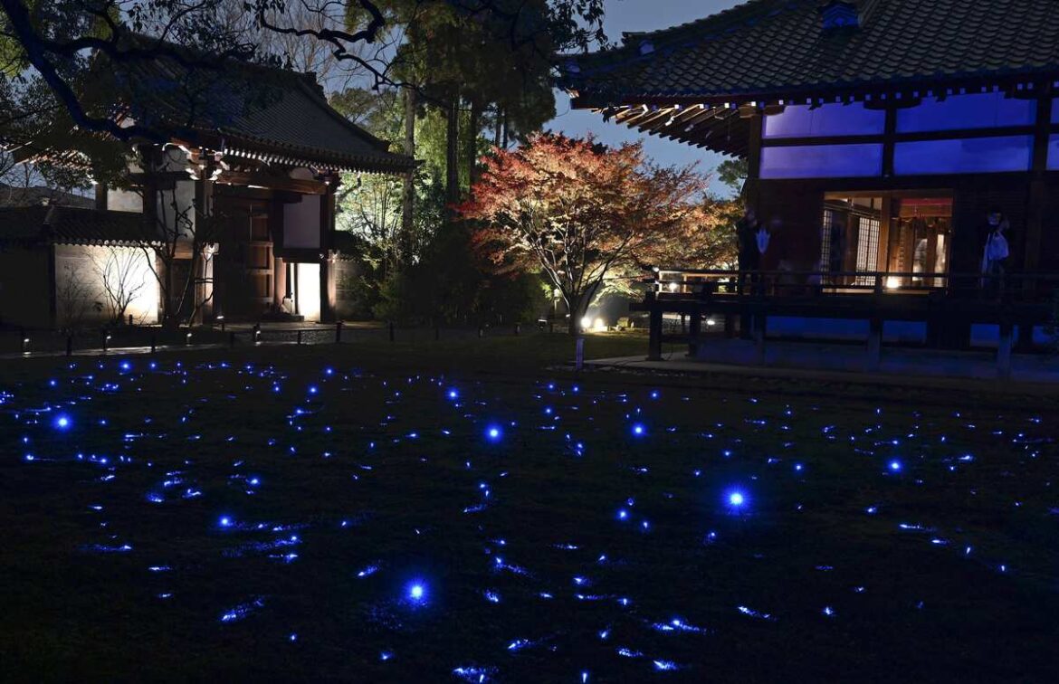 Temple Illuminated in Blue, Contrasts with Autumn Foliage at Shoren-In Temple in Kyoto Offering Visitors Peaceful Moment