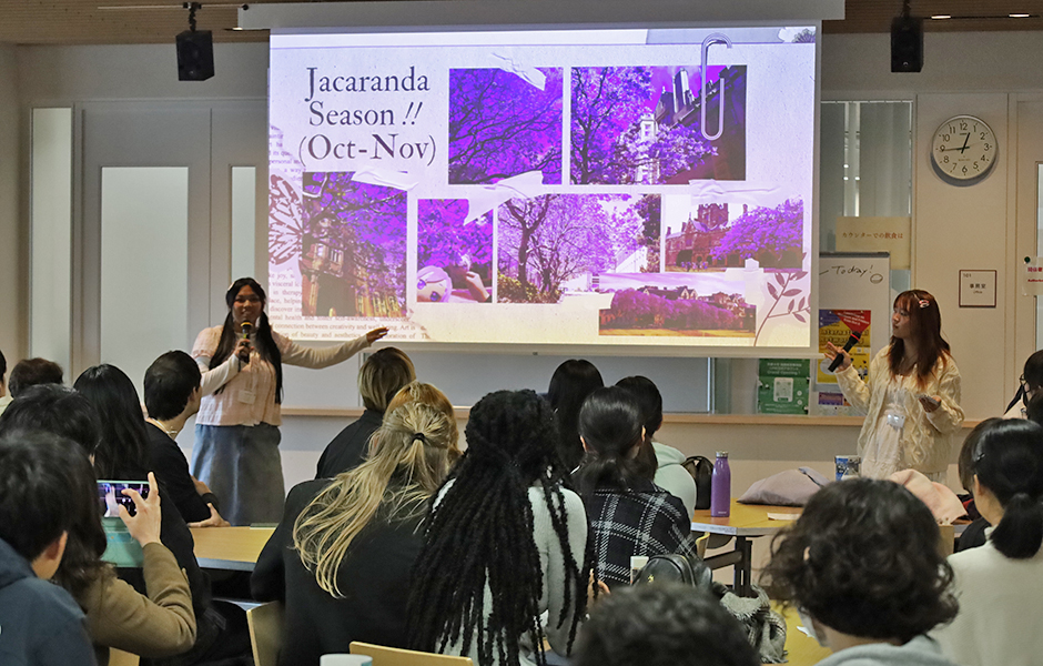 文章を入れてください