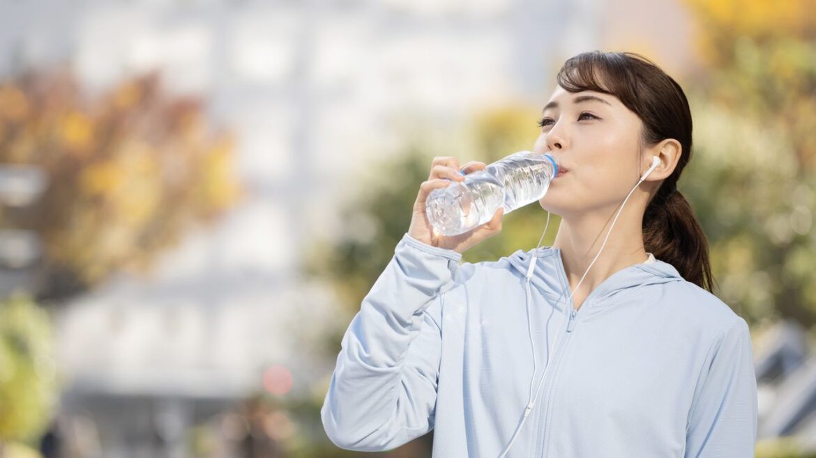 Using Recycling Boxes Responsibly in Japan Using Recycling Boxes Responsibly in Japan