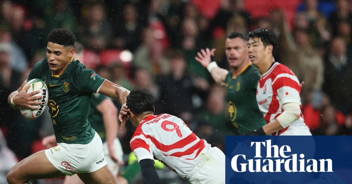 Sacha Feinberg-Mngomezulu lights up South Africa’s nine-try rout of Japan | Rugby union
