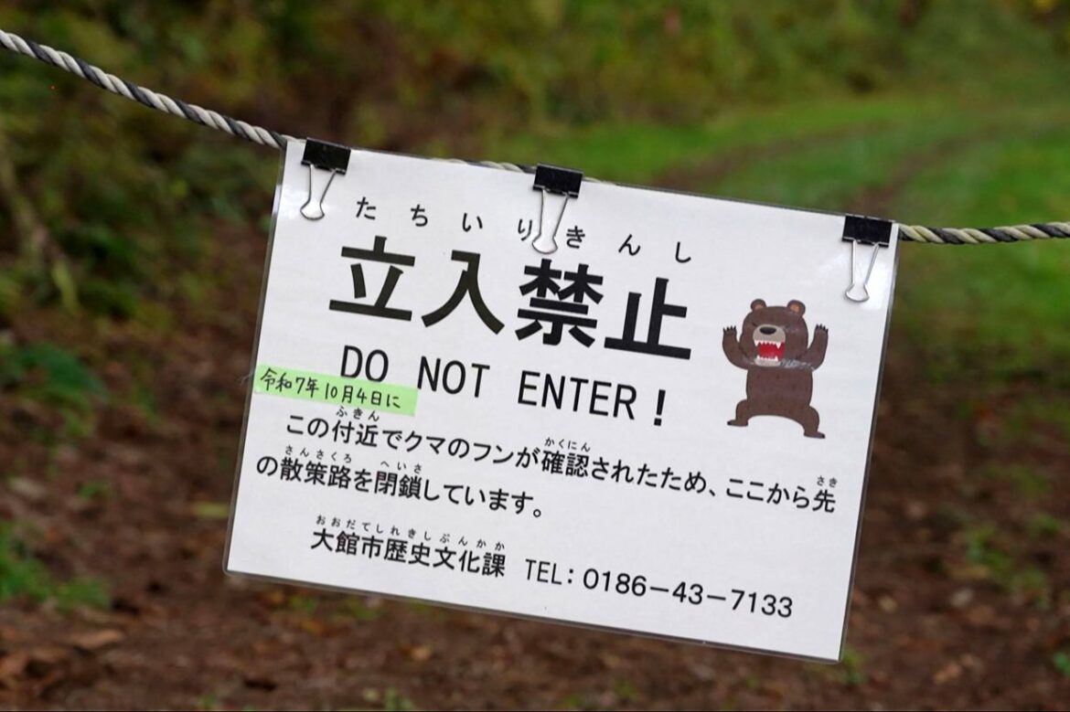 Hongkongers urged to secure travel insurance as bear attacks rise in Japan Hongkongers urged to secure travel insurance as bear attacks rise in Japan